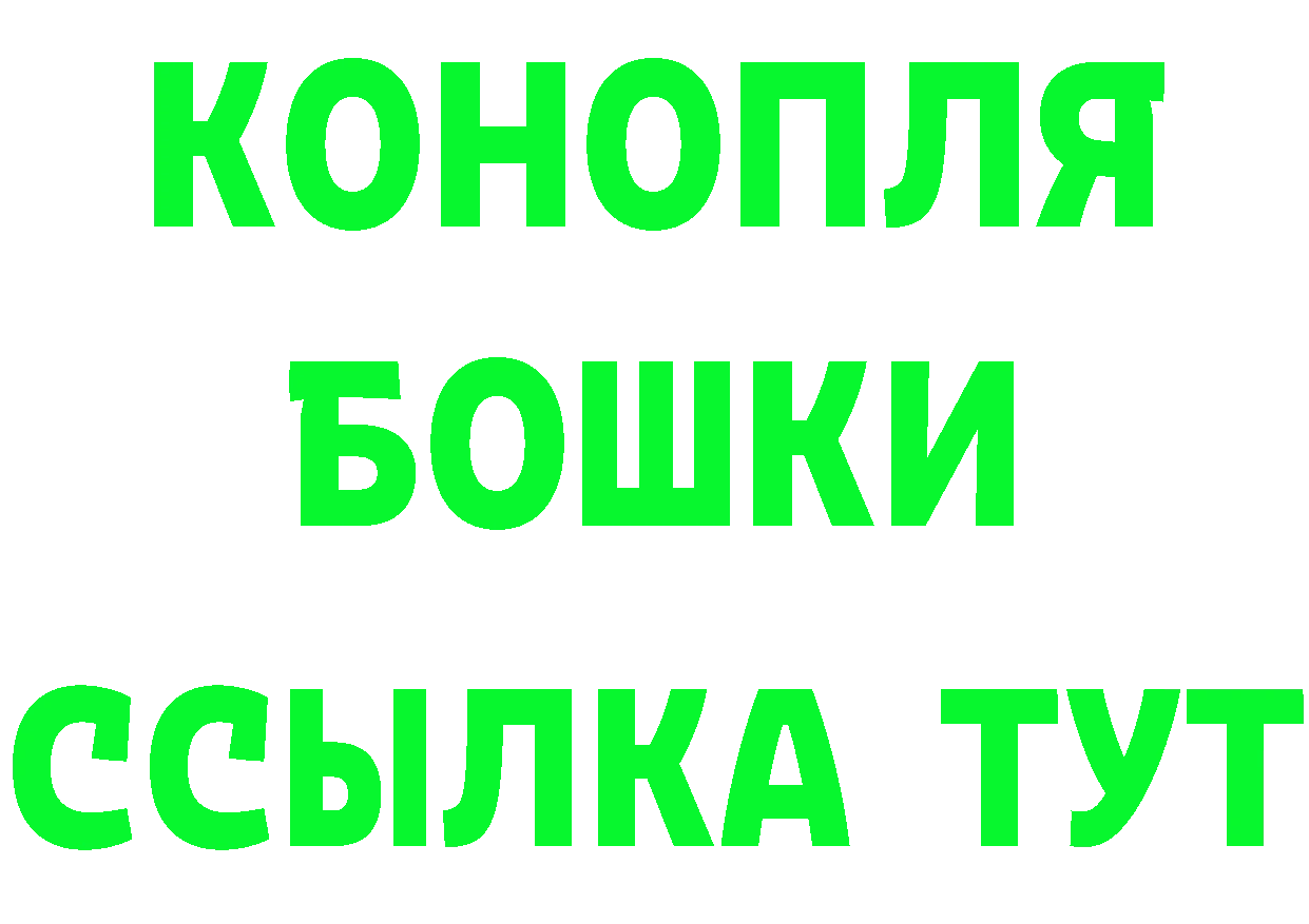 Как найти закладки? это Telegram Коряжма